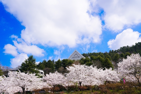 봄(2) 대표이미지