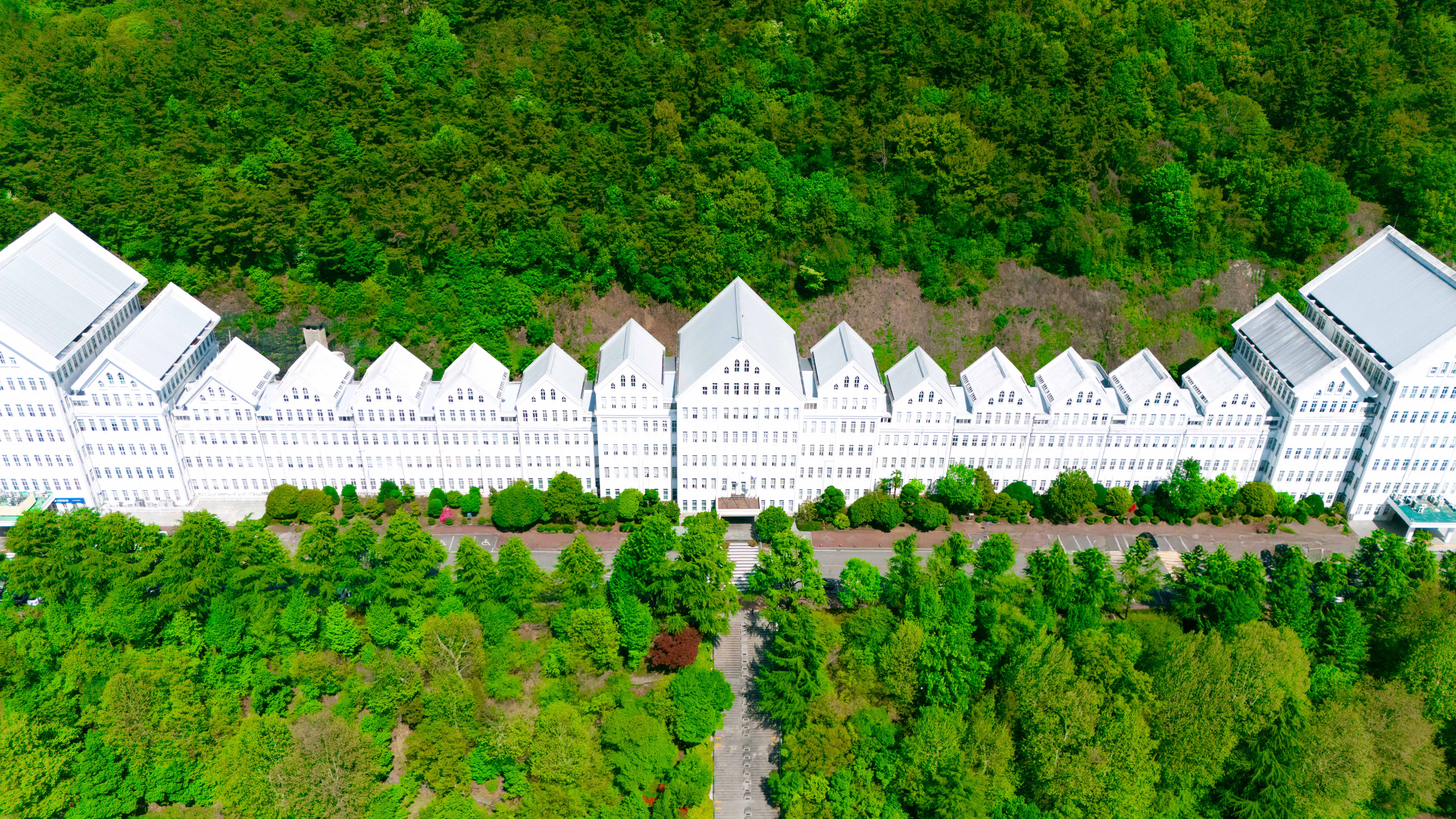 기억에서 실천으로, 조선대학교 80년의 시간 대표이미지
